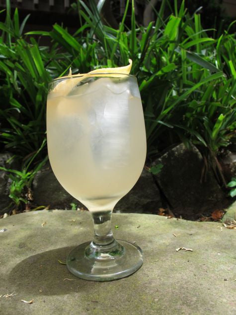 Friday Distractions: The Sake Spritzer
