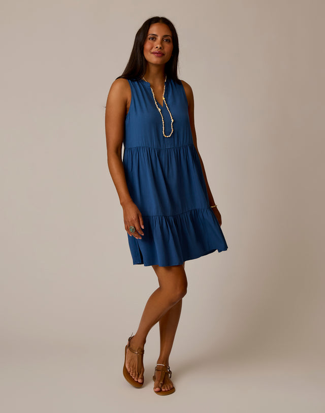Nellie Dress: Vintage Blue