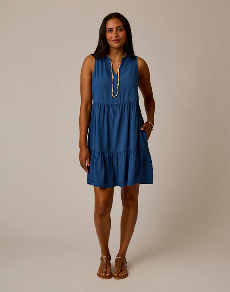 Nellie Dress: Vintage Blue
